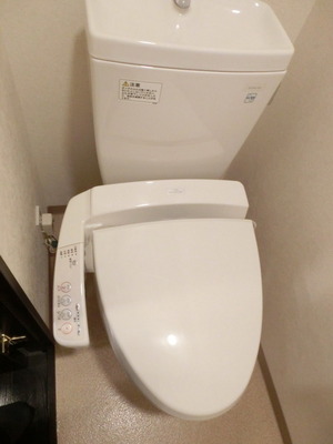 Toilet. Cleaning function toilet