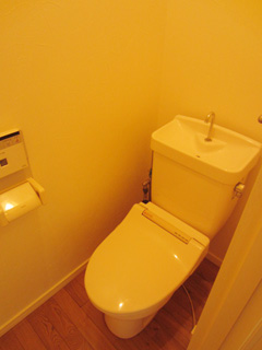 Toilet