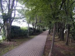 park. Tamagawa 447m until the green road