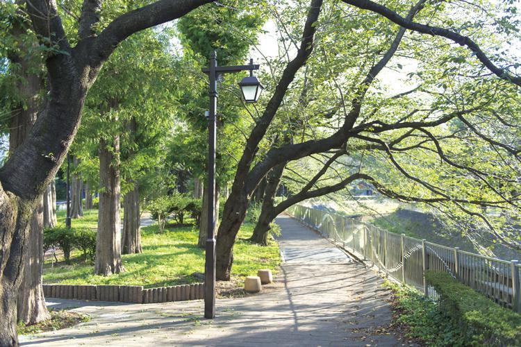 park. While there is the location highly convenient to put the city center beside, Living environment relax in green. Ginkgo Inari Park is a 6-minute walk, Enjoy a season of four seasons have you wait a little foot Zenpukuji River green space (photo). 