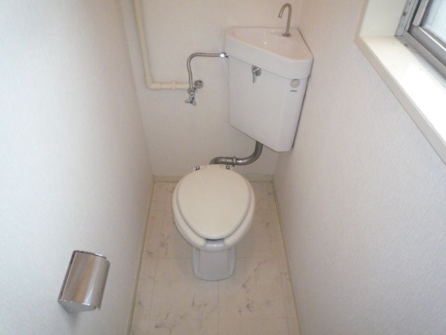 Toilet. It has been cleaned in the water around the beautiful