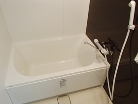 Bath. It is with a convenient bathroom dryer