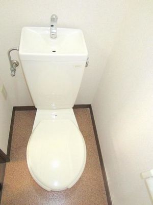 Toilet. Toilet