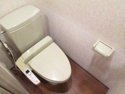 Toilet. Washlet toilet