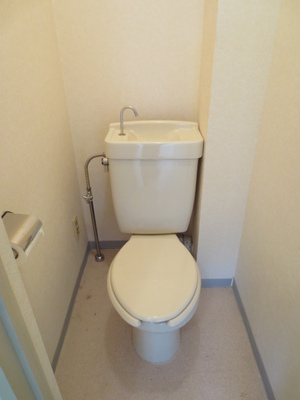 Toilet. Toilet