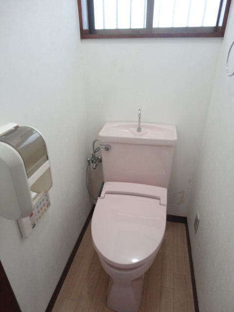 Toilet. Toilet with a bidet!