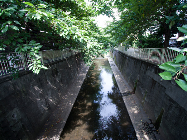 Surrounding environment. Kanda clean water (about 870m / The walk 11 minutes) Inokashira Park to a water source, Join the Sumida River. There is cherry-blossom viewing spot cherry tree can enjoy along the Kanda River.