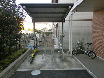 Parking lot. Bicycle-parking space