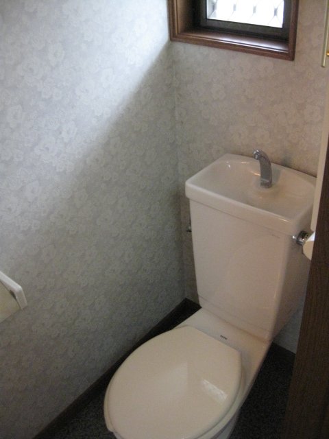 Toilet. Ventilation convenient window with toilet.