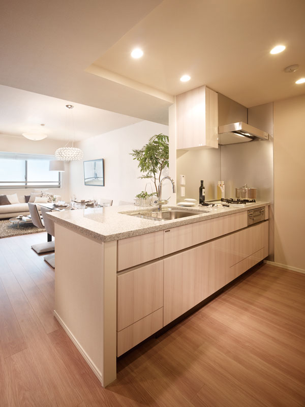 Kitchen.  [kitchen] The storage of kitchen, Adopt a sliding that can comfortably out. It comes with a soft-close function to be drawn into the quiet.  ※ Door open sink bottom