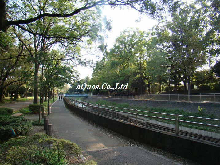 park. 310m until Zenpukuji river park