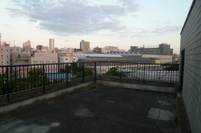 Balcony. Roof balcony (about 30 square meters) (1)