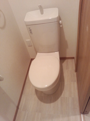 Toilet. Toilet