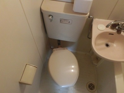 Toilet. Toilet