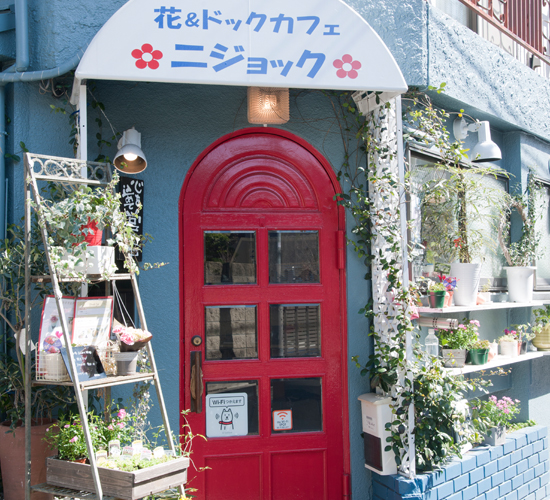 Surrounding environment. Hana Cafe ・ Nijokku (a 9-minute walk / About 670m)