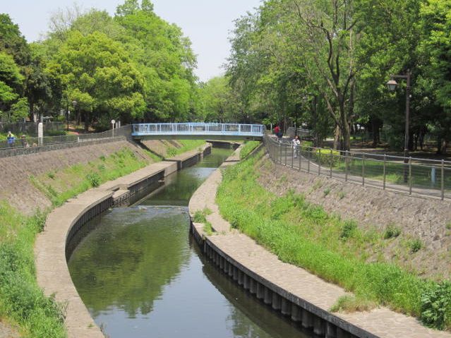 Other. It is a neighborhood of Zenpukuji green space