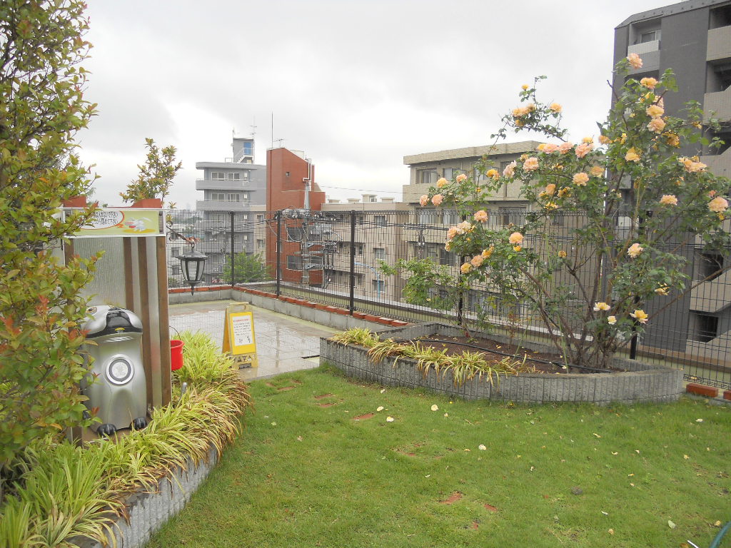 Other common areas. Rooftop dog run