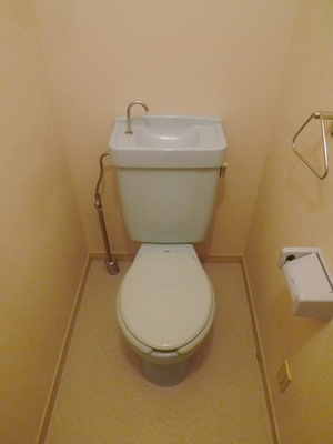 Toilet. Toilet