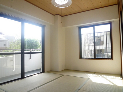 Other room space. Japanese style room