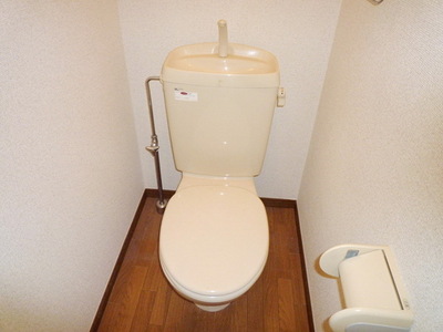 Toilet. Toilet