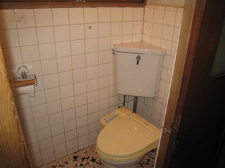 Toilet