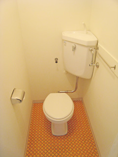 Toilet. It is a photograph of the 609 in Room.