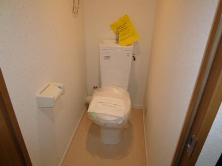 Other. Toilet