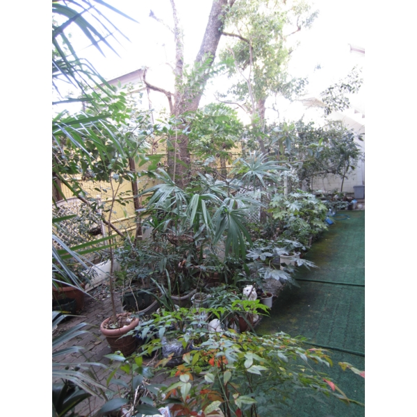 Other. courtyard