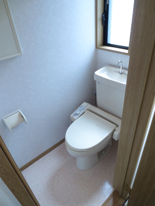 Toilet. With warm water washing toilet seat