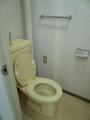 Toilet