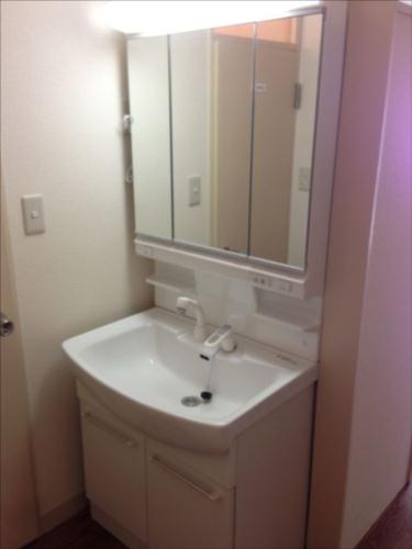 Washroom. Brand new, Bathroom vanity