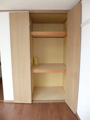 Living and room. Storage with depth