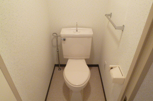 Other. Toilet