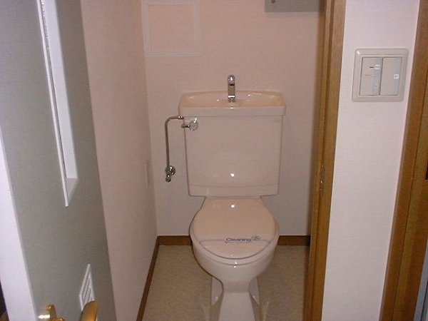 Toilet. Cabinet with toilet