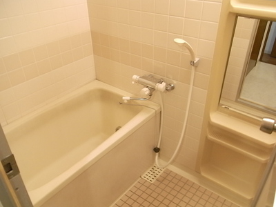 Bath. Add-fired function with bath (bathroom of the spread)