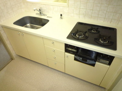 Kitchen. System kitchen