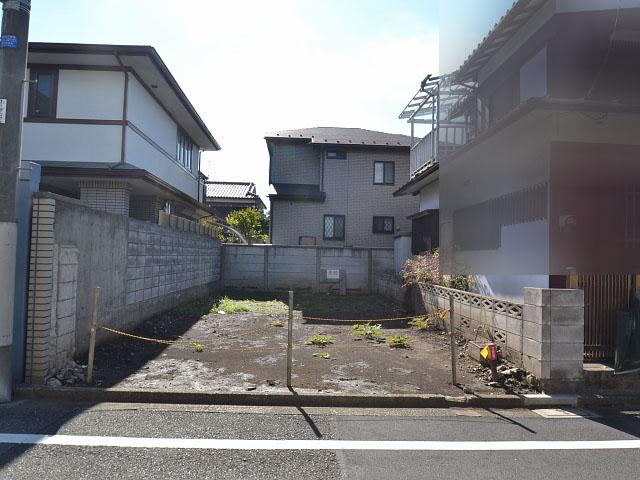 Local land photo. Field landscape Vacant lot