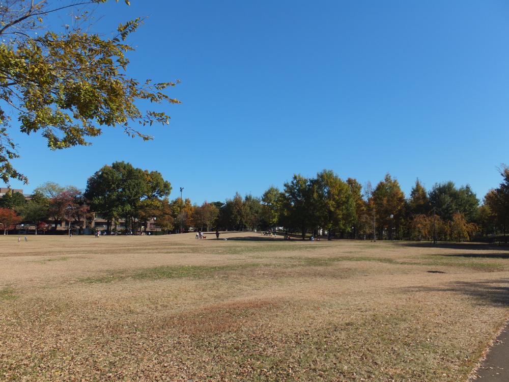 Other local. Kashiwa Palace park local (2013 November shooting)