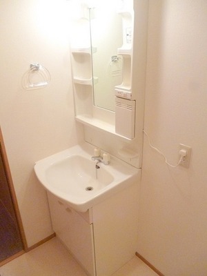 Washroom. Shower Dresser