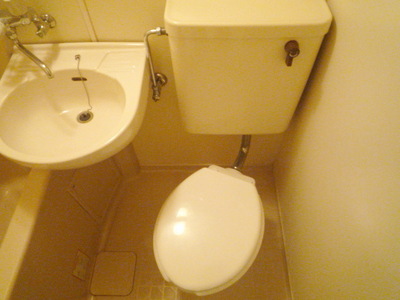 Toilet. Toilet