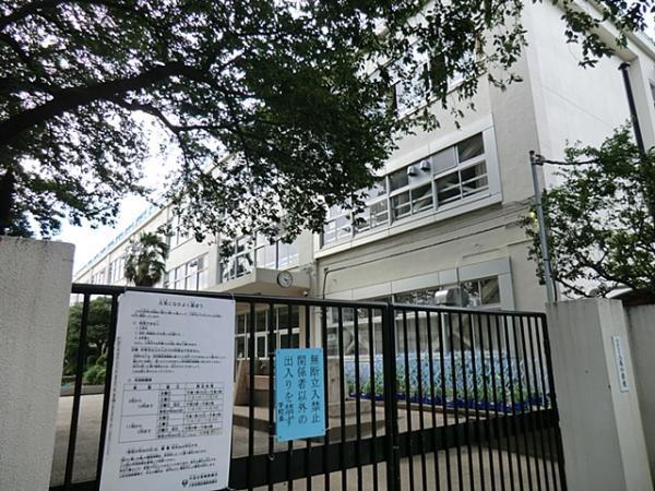 Primary school. HachiNaru until elementary school 240m