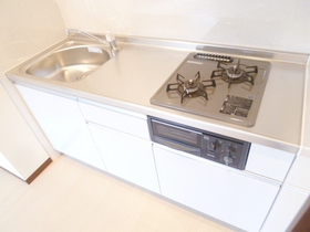 Kitchen. Two-burner gas system kitchen (ingredients interest rate instrument)