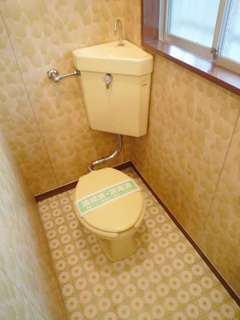 Toilet