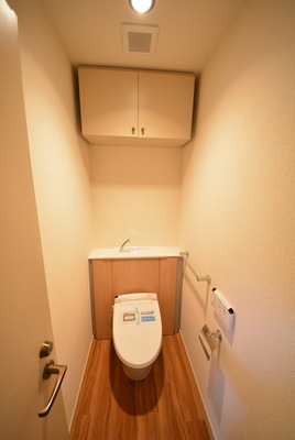 Toilet. Toilet