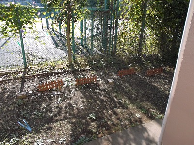 Balcony. terrace