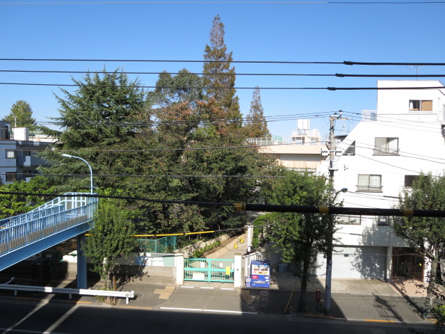 Primary school. 500m to Suginami Ward Omiya elementary school (elementary school)