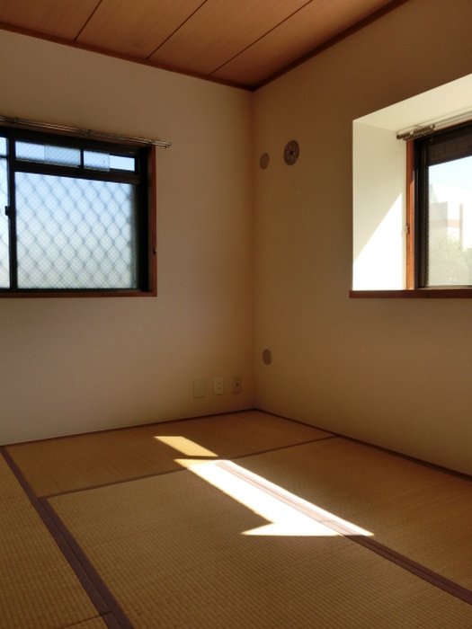 Living and room. Two-sided lighting Japanese-style room