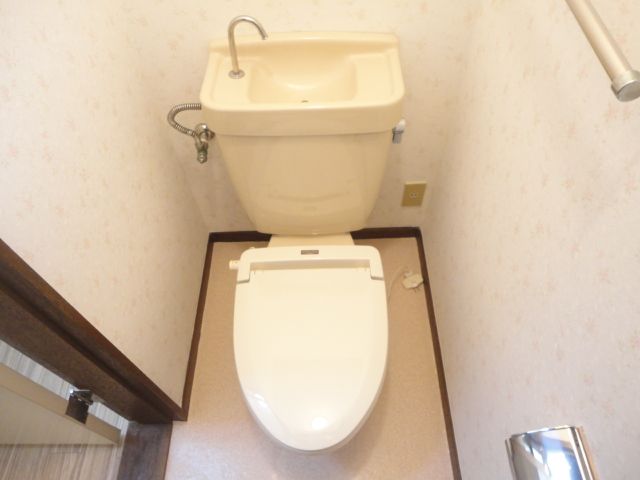 Toilet. Beautiful toilet