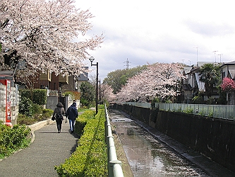 park. 640m until the Kanda River (Park)