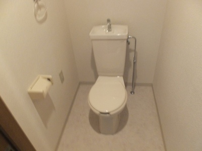 Toilet. Toilet